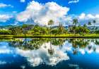 Ala Wai Canal reflection Waikiki, Honolulu, Oahu, Hawaii. Art Print